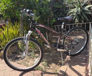 Schwinn women’s bike (m)