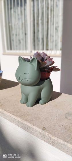 Cat Planter 🐱