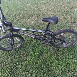 Mongoose 20 Inch Bike 