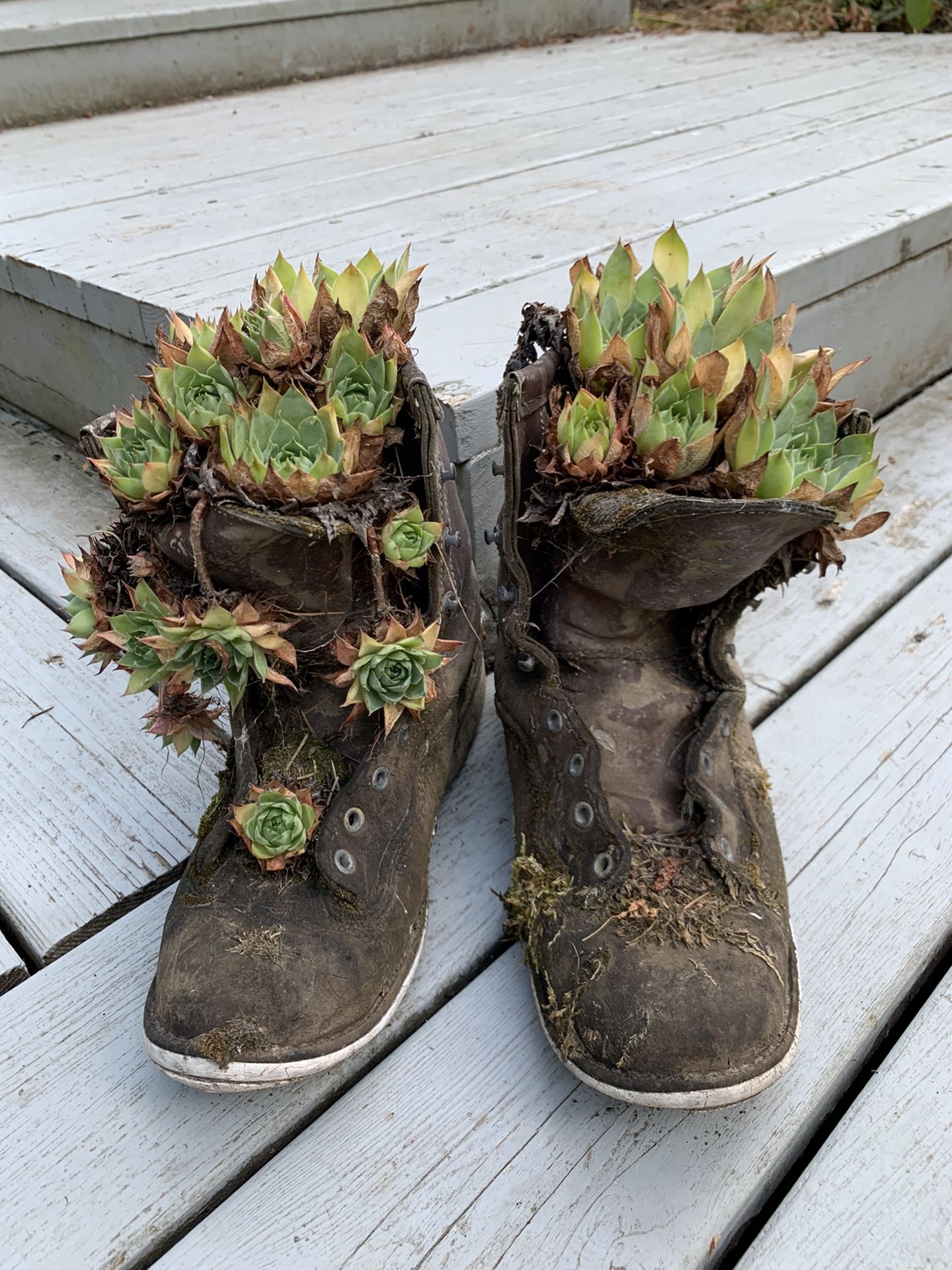 Boot planter