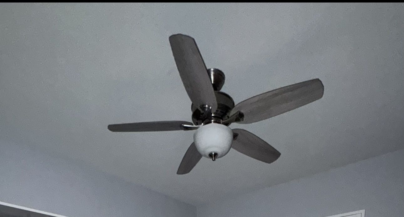 Ceiling Fan Hunter