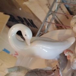 Lladro Swan