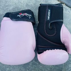 Century Boxing Mitts