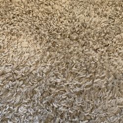 Zermatt Shag Collection 7 X 10 Ft Rug