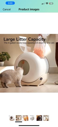 FurryTail Self Cleaning Box