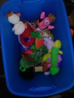 Box of stuffed animals