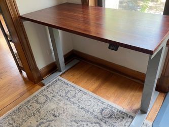 Automatic Electric Standing Desk