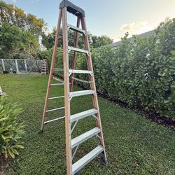 Werner 8 Ft. Ladder (300LB) Max