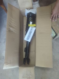 Unity Strut assembly
