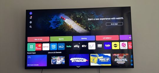 LG 65in TV