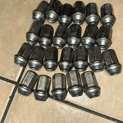 Wheel Nuts