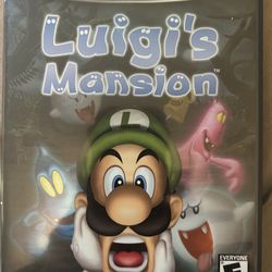 Luigui’s Mansion 