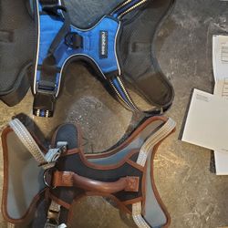 Dog Harness