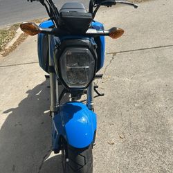2022 Hona Grom
