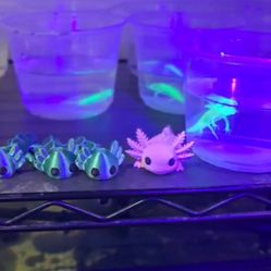 3-D Printing For Axolotl 