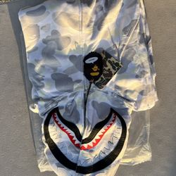 Bape Hoodie 250