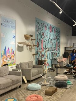 Couches