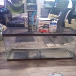 Fish Tank Key With A heat Paid