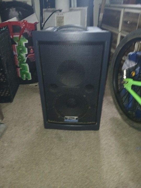 Anchor Auditorium Speaker