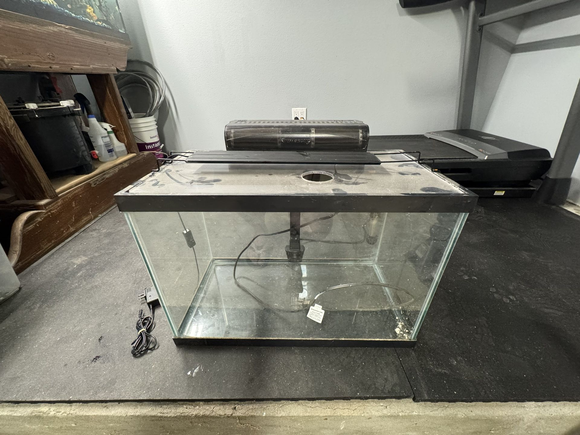 20 Gallon Aquarium Set Up