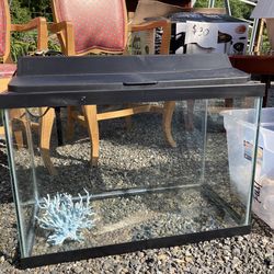 20 gallon Fish Tank