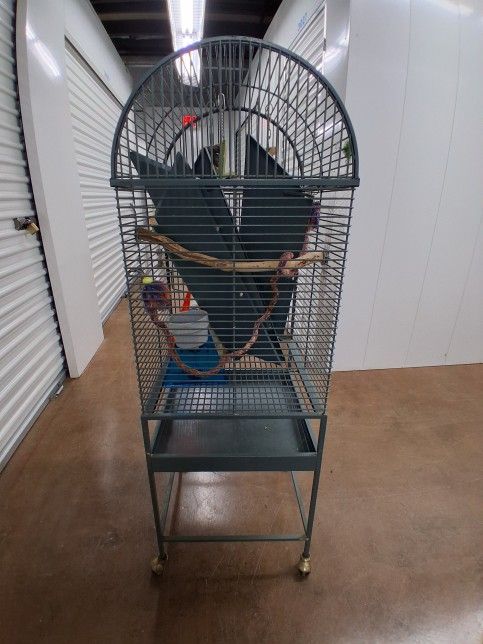 Bird Cage