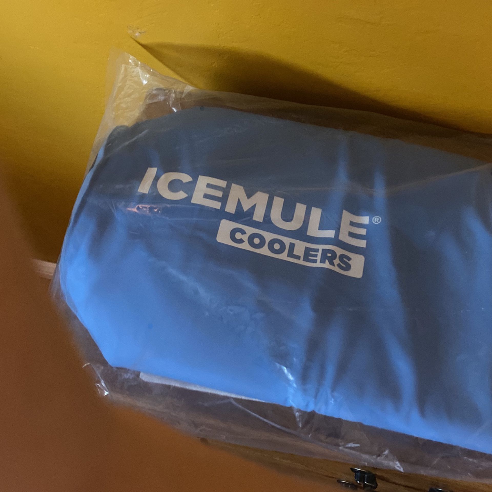 Traveling ice cooler bag