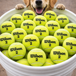 Dog tennis balls 10 of them for 5.00
