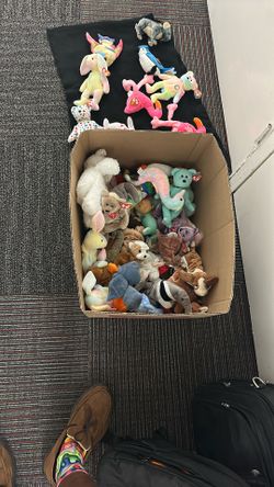 Lot of Ty Beanie Baby’s