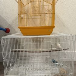 Bird cages 2