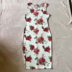 Minette Women’s White Sleeveless Floral Dress Size XL