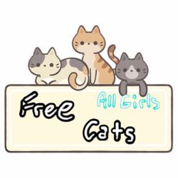 Calico/Gray Tabbys