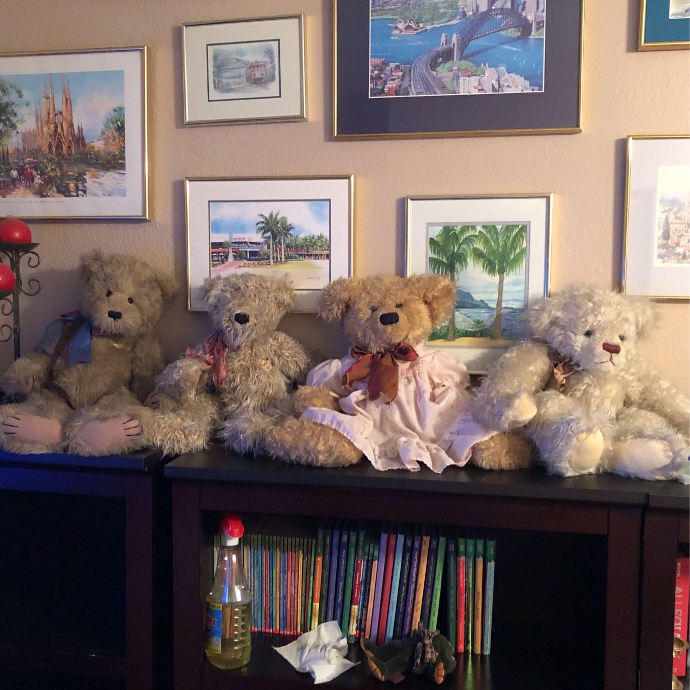 Collectable Teddy Bears