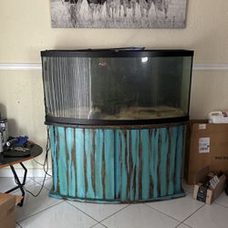 Saltwater Fish Tank