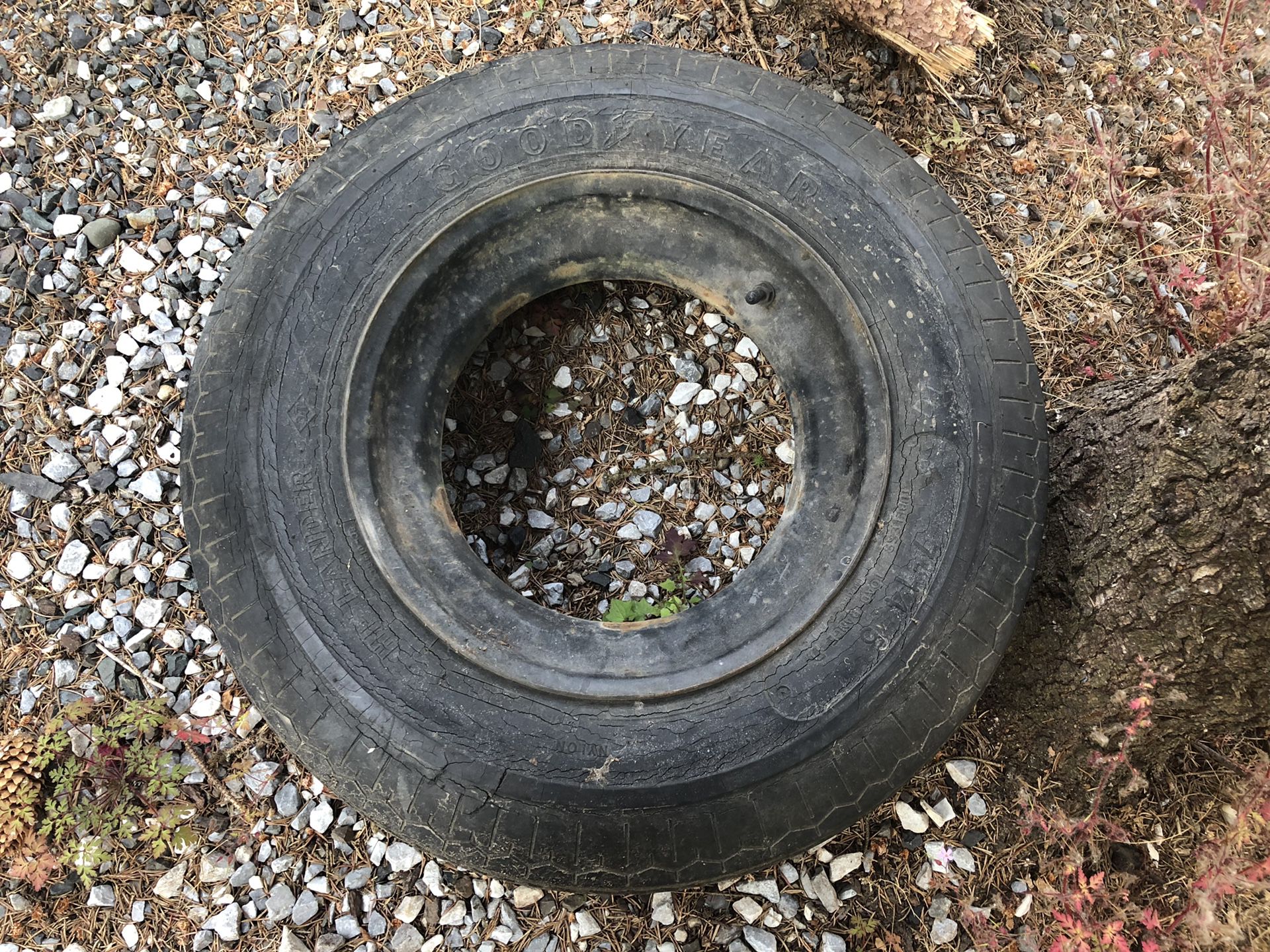 RV / trailer spare tires