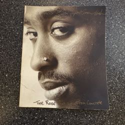 Tupac Shakur The Rose That Grew From Concrete Book