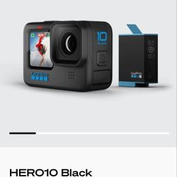 GoPro Hero 10 w/bonuses