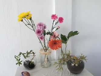 Set Of 20 Decorative Vases