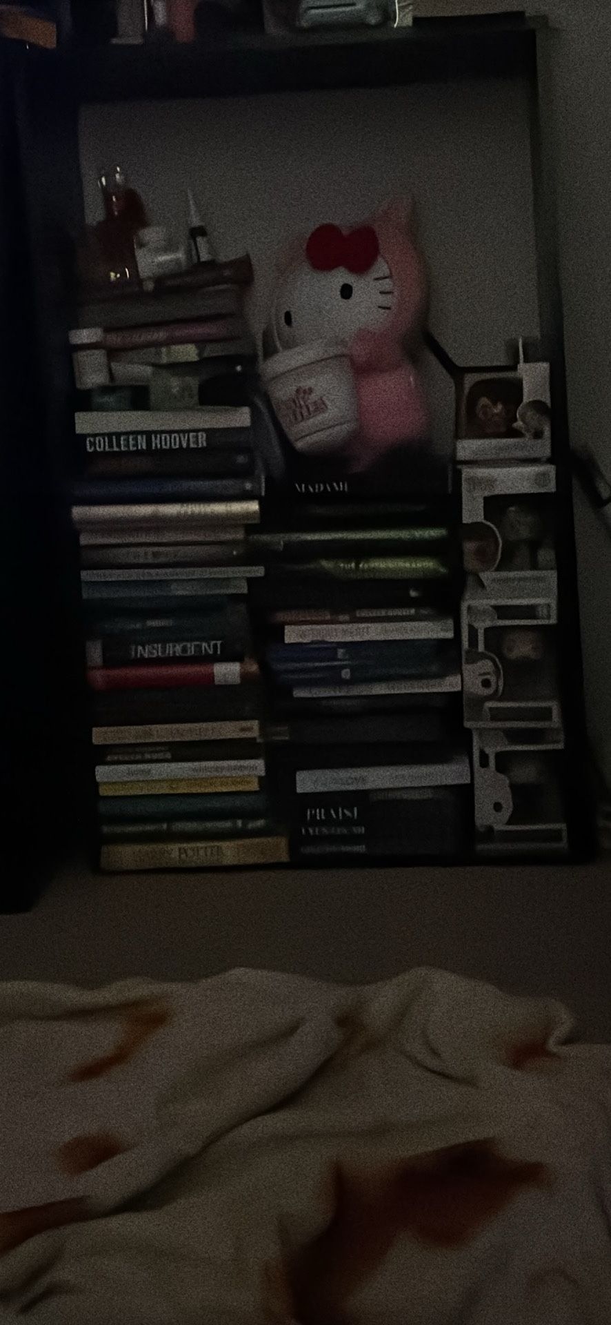 Books/ Stuffed Animals