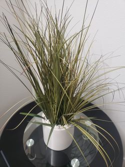 Fake plant