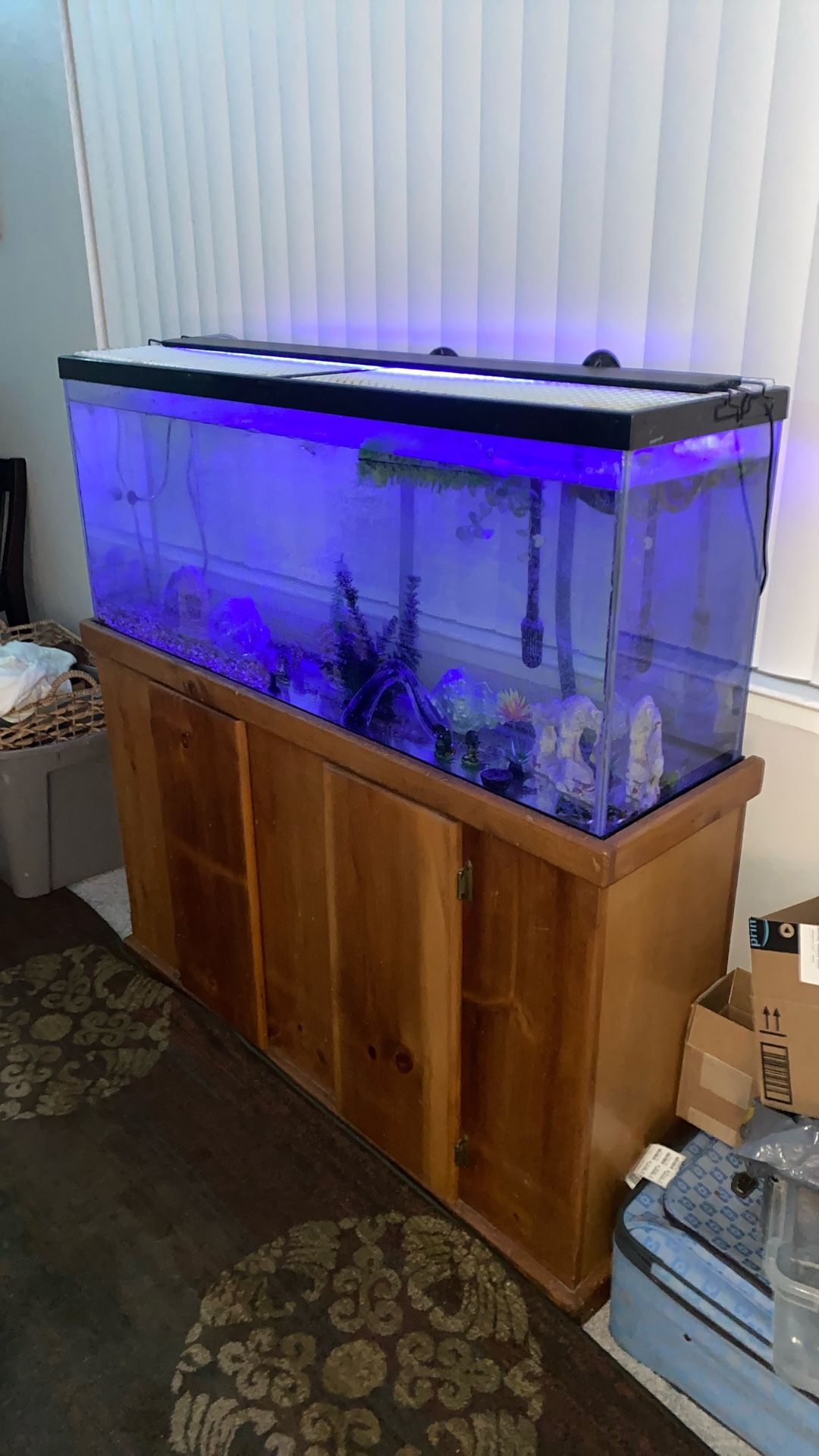 55 Gallon Fish Tank