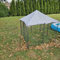 Out Side Dog Kennel 