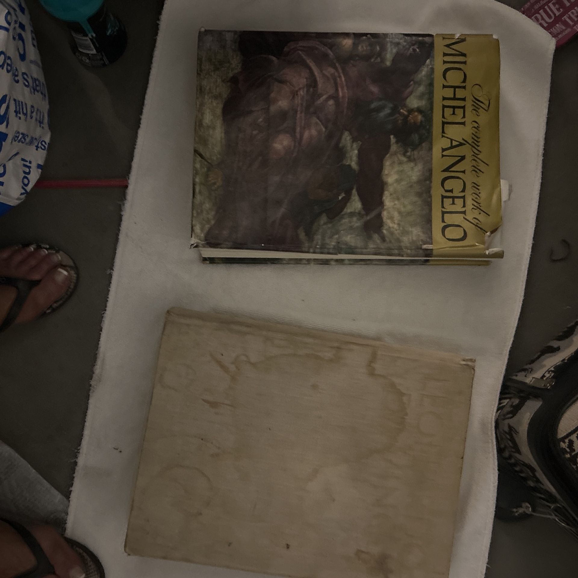 Leonardo, Da Vinci And Michelangelo Complete Books, Coffee Table Books Little Water Damage, And One Is Missing The Cover