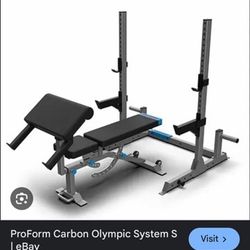 Weight Bench and Squat Bar System 