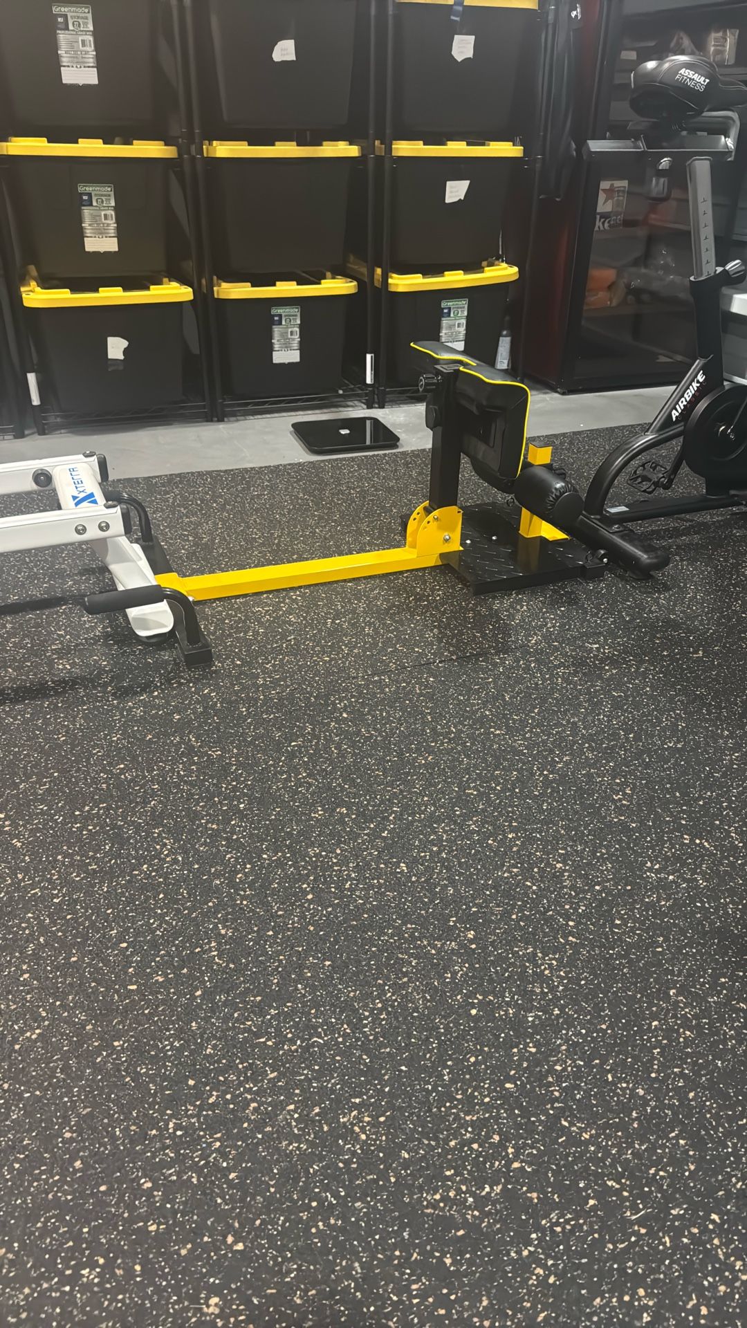 Sissy Squat