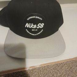 Nike Sb Snap Back