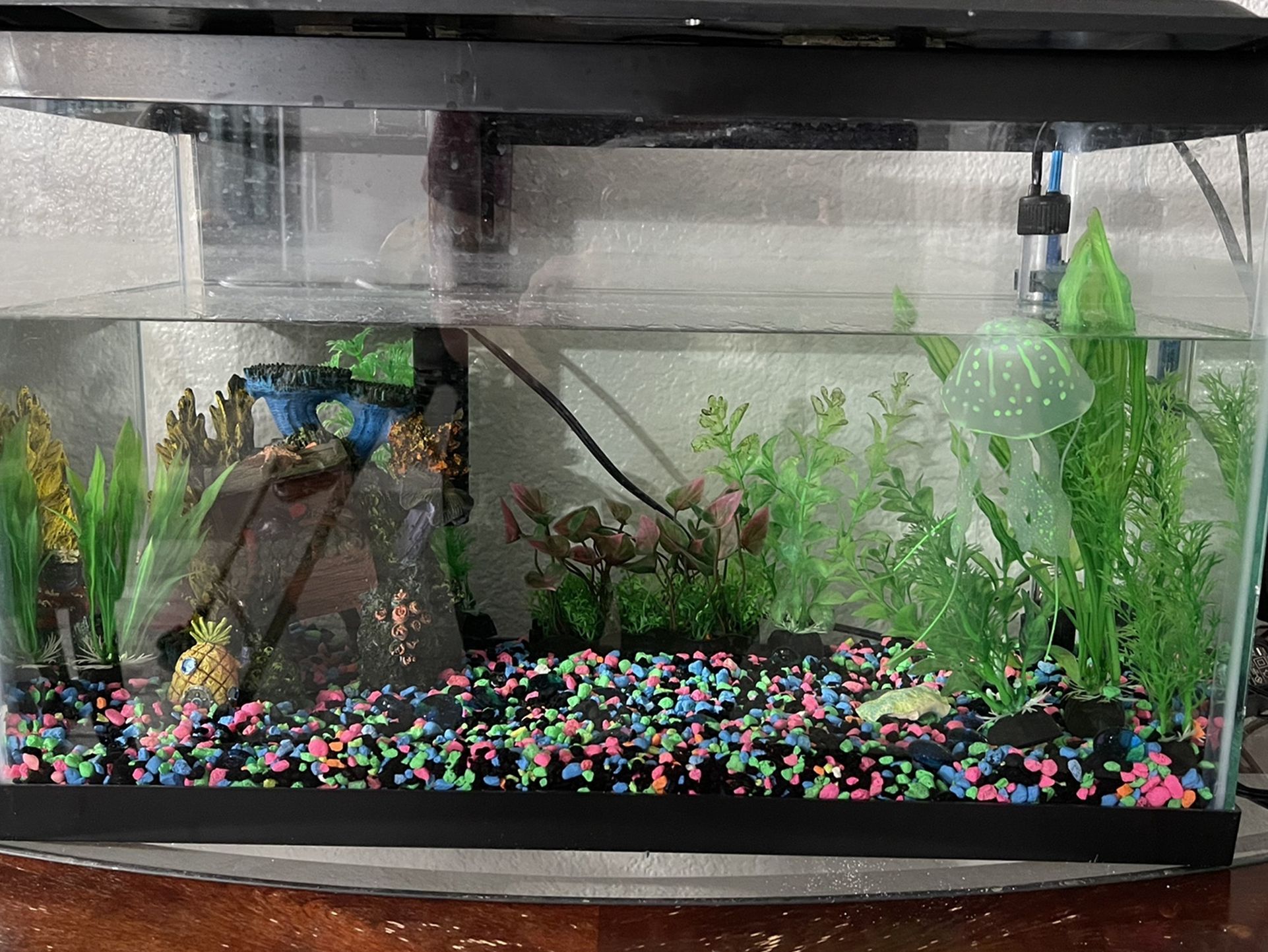 Fish Tank With Supplies