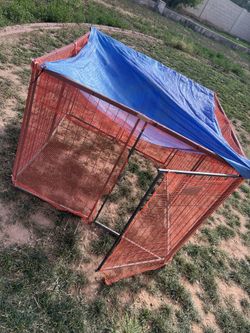 Chicken Coop