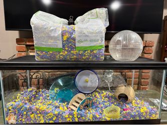 Hamster Cage and Supplies