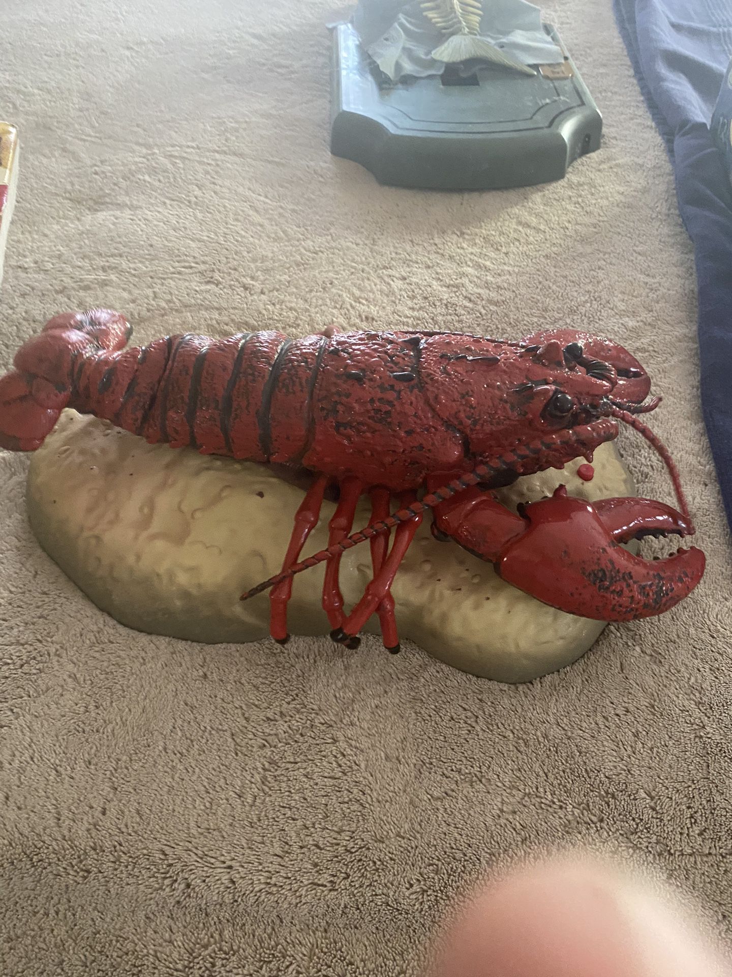 Lobster Sing 
